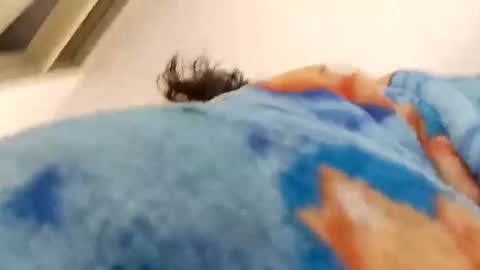 isabella online show from December 15, 2025, 12:31 pm