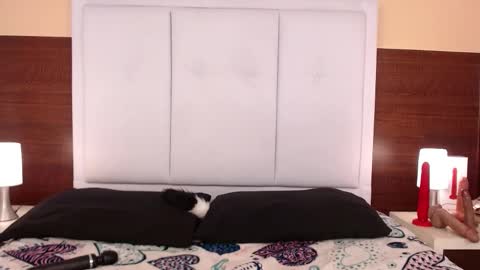 alana online show from October 25, 2025, 3:58 am