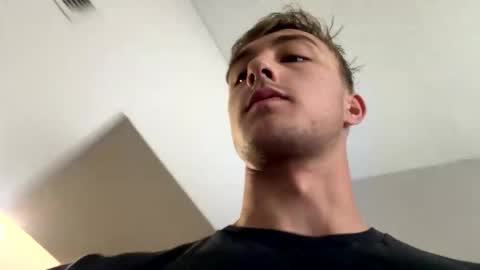 alaskanhorse online show from February 19, 2026, 4:03 pm