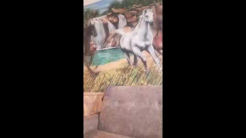 albina online show from February 24, 2026, 8:23 am