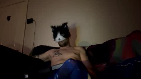 Snapshot of alex_essex69 chatting on February 26, 2026, 12:42 am alex_essex69 online show from February 26, 2026, 12:42 am