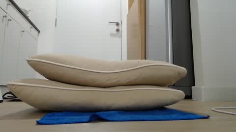 Nicha online show from September 21, 2025, 4:47 am