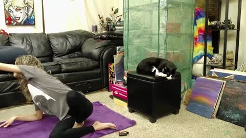 Alexa  GW online show from December 17, 2024, 3:39 am