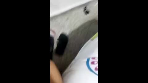 Alexamdergal online show from January 9, 2025, 10:31 pm