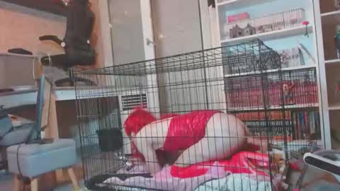 alexas_owned_bitch online show from May 30, 2026, 10:29 pm