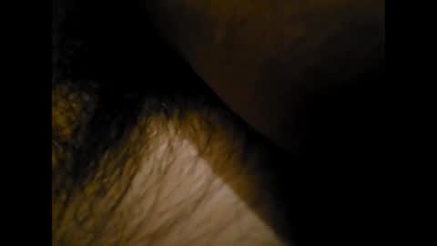 alexbelli7 online show from February 3, 2026, 10:04 pm