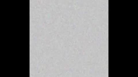 Alex Dimartino online show from September 13, 2025, 11:48 pm