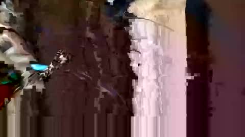 alexey932 online show from November 10, 2025, 10:03 am