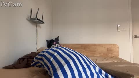 alexfilmx online show from October 16, 2025, 7:31 am