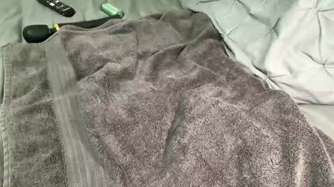 Alexis online show from December 13, 2024, 11:34 am