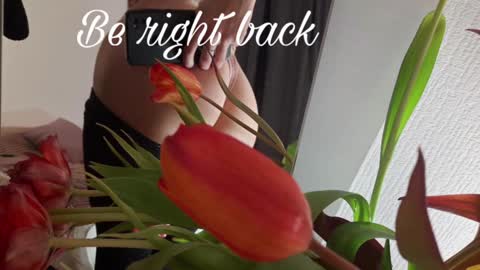 Snapshot of alice_dias chatting on December 26, 2024, 12:49 pm alice_dias online show from December 26, 2024, 12:49 pm