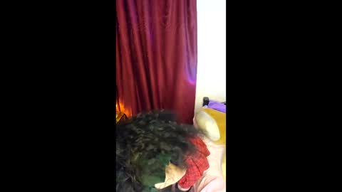 Snapshot of alicekingdom chatting on February 8, 2026, 12:03 am Alicekingdom online show from February 8, 2026, 12:03 am