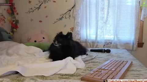 Alice Rivers ---- Enter my public Discord-  online show from February 5, 2026, 9:30 pm