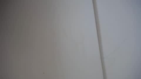 Ali online show from February 17, 2025, 12:05 pm