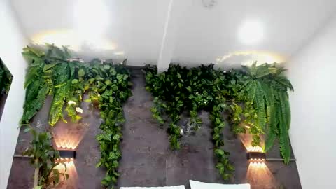 Snapshot of aliice_greco chatting on February 1, 2026, 6:17 pm Alice online show from February 1, 2026, 6:17 pm