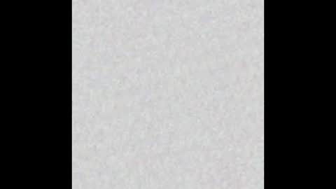 Alisse online show from November 12, 2025, 12:27 pm