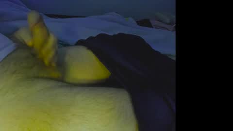 Snapshot of alphablue_wolf1295 chatting on December 4, 2024, 7:06 am alphablue_wolf1295 online show from December 4, 2024, 7:06 am