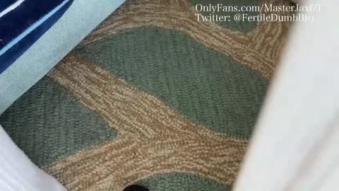 MasterJax69 online show from October 27, 2025, 4:00 pm