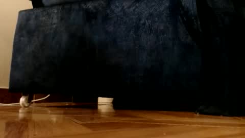 Snapshot of alphaswitchard chatting on March 1, 2026, 12:12 am ur god online show from March 1, 2026, 12:12 am