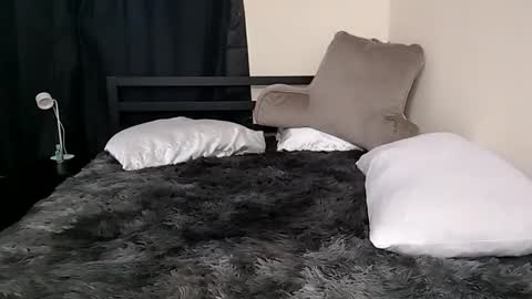 Snapshot of alphawulf1 chatting on March 2, 2026, 4:03 pm alphawulf1 online show from March 2, 2026, 4:03 pm