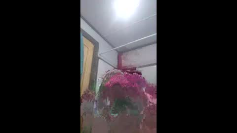 already0101 online show from June 8, 2026, 10:48 am