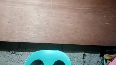 Snapshot of altheahot_asian chatting on December 19, 2024, 11:57 pm altheahot_asian online show from December 19, 2024, 11:57 pm