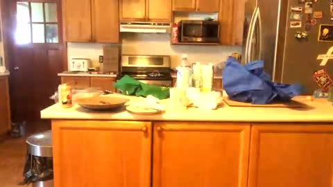 Alvie online show from January 26, 2025, 3:03 pm