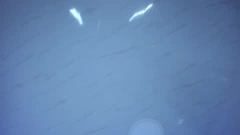 Emily online show from January 31, 2026, 7:11 pm