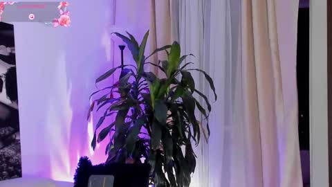 Amatista online show from September 22, 2025, 11:51 pm