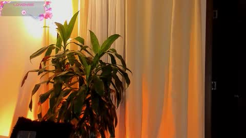 Amatista online show from October 11, 2025, 11:25 pm