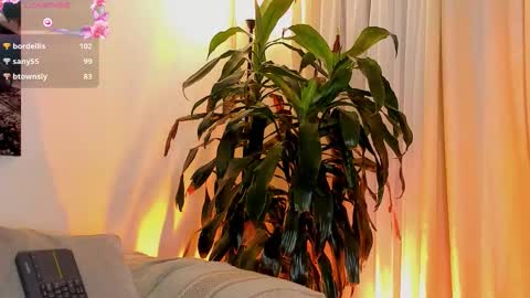 Amatista online show from November 1, 2025, 11:07 pm