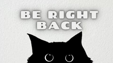 Snapshot of ambarsantany chatting on March 6, 2025, 12:10 am AmbarSantany  online show from March 6, 2025, 12:10 am