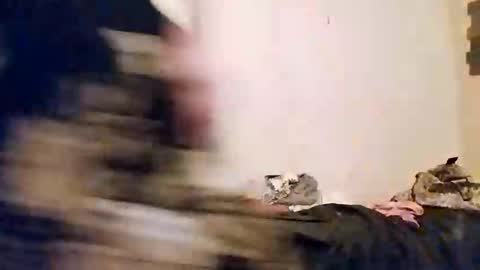 amberjohnson1387 online show from March 15, 2026, 11:44 pm