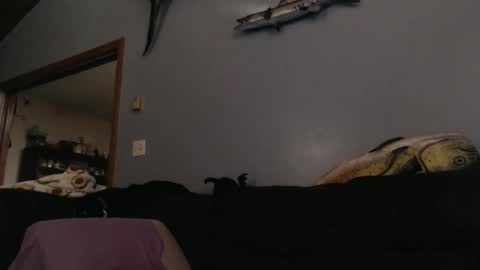 ambers666999 online show from October 25, 2025, 2:19 am