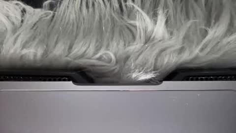 Amelia online show from March 15, 2026, 6:58 pm