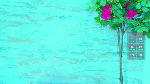  AMELIA.  online show from March 14, 2026, 2:17 am