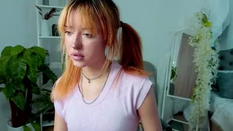    online show from April 14, 2026, 11:05 am