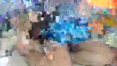 Amuy online show from February 1, 2026, 5:17 am