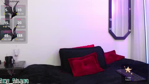 Snapshot of amy_aloqua chatting on January 27, 2025, 2:24 pm Amy online show from January 27, 2025, 2:24 pm