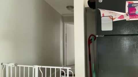 Snapshot of amysmilez chatting on December 17, 2025, 5:30 pm Amy Smilez online show from December 17, 2025, 5:30 pm