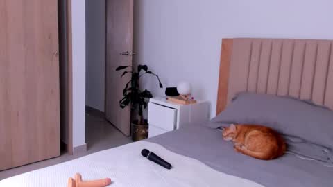 Ana Henao or Annie... Follow me ahenaocb Insta  X online show from September 26, 2025, 8:57 pm