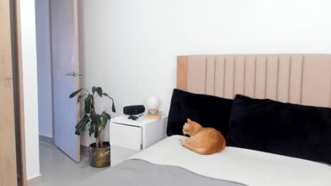 Ana Henao or Annie... Follow me ahenaocb Insta  X online show from October 25, 2025, 9:42 pm