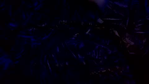 anal_stoner69 online show from December 4, 2024, 2:31 am