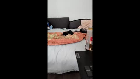 Snapshot of analtraining12 chatting on March 26, 2026, 10:21 am analtraining12 online show from March 26, 2026, 10:21 am