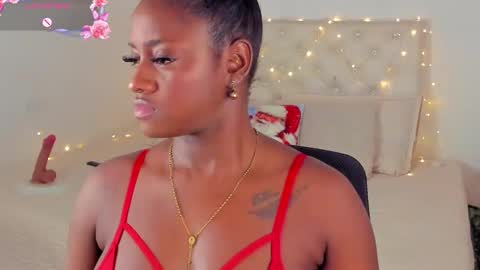 Snapshot of ananya_kay01 chatting on December 14, 2024, 3:18 am A N A my connection hours are from 600 pm to 12 pm Colombian time online show from December 14, 2024, 3:18 am