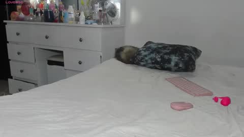  ANASTASIA DANGER  online show from March 11, 2026, 12:44 pm