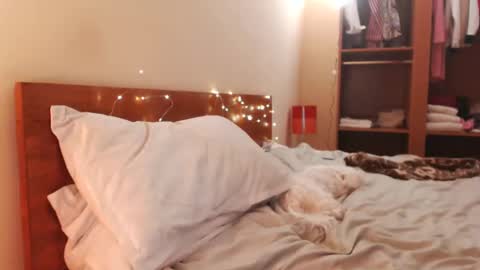 Snapshot of andrasweetie chatting on December 24, 2024, 6:00 am Andra online show from December 24, 2024, 6:00 am