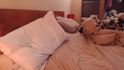 Snapshot of andrasweetie chatting on February 6, 2025, 3:27 am Andra online show from February 6, 2025, 3:27 am