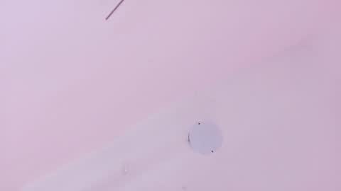 A n d r  e a S w e e t  online show from March 21, 2026, 7:39 pm