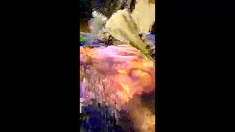 andrefeetlover11849 online show from December 17, 2025, 6:36 pm